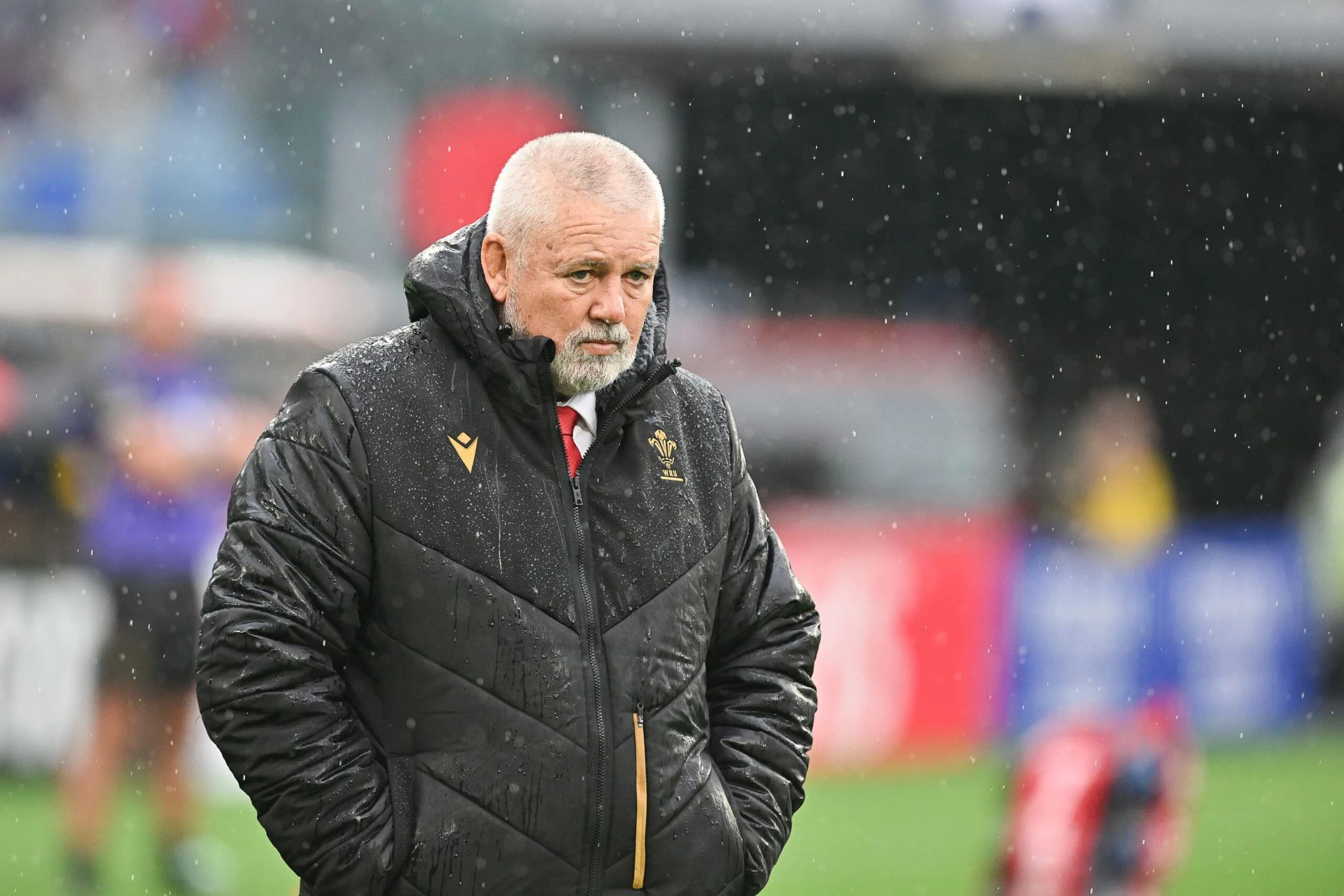 Wales coach Warren Gatland. Pic: Alamy.
