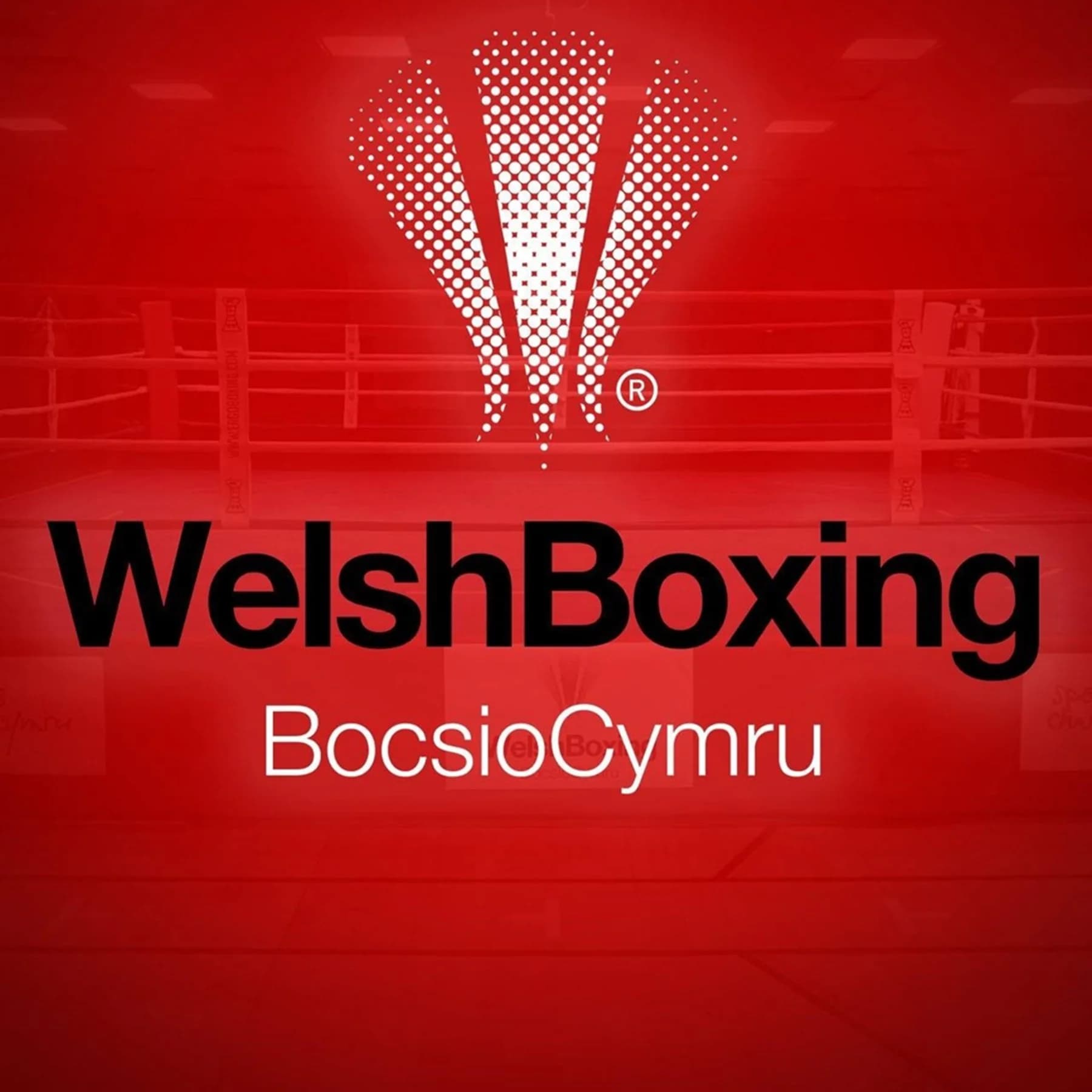 Welsh Boxing logo