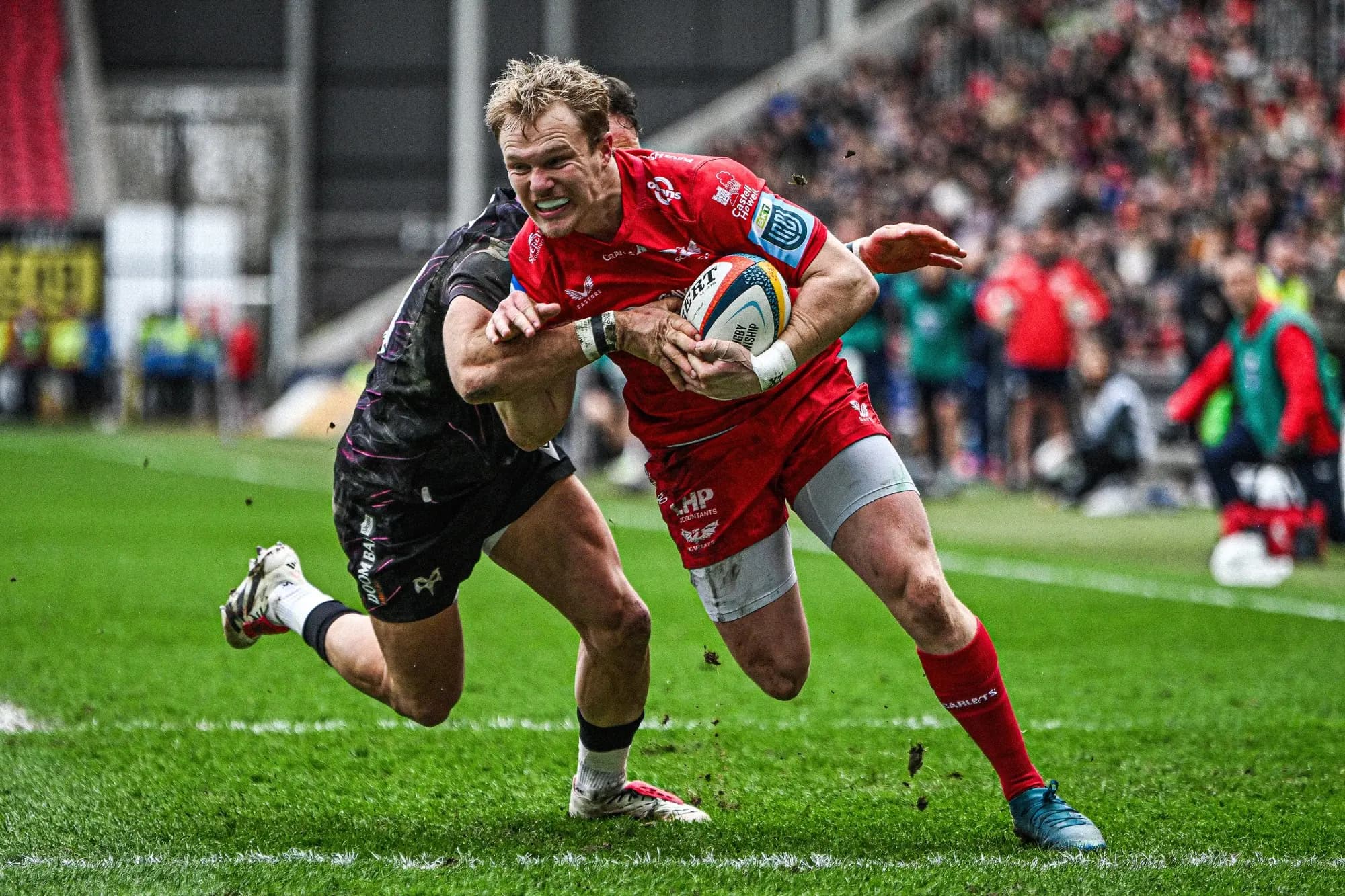 Blair Murray of the Scarlets. Pic: Info